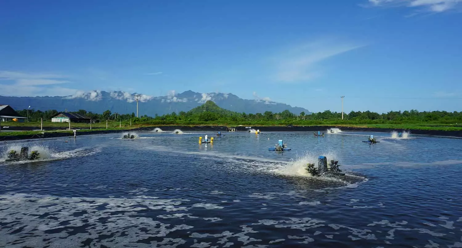 Các thông số chất lượng nước cần được giám sát