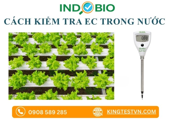 Cách kiểm tra nhanh chỉ số EC trong nước