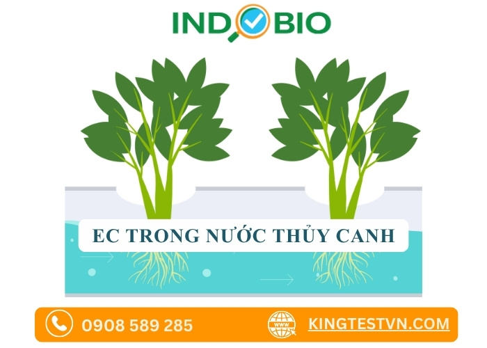 Chỉ số ec trong nước là gì?