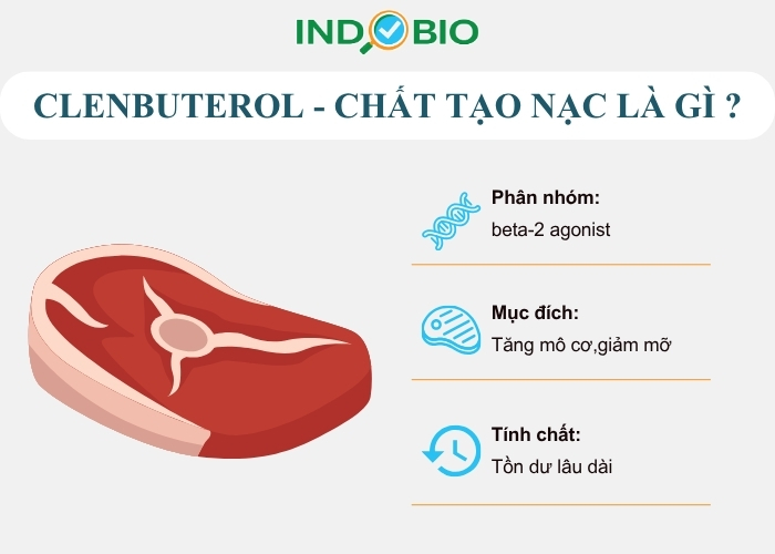 Clenbuterol là gì và vì sao xuất hiện trong chăn nuôi?