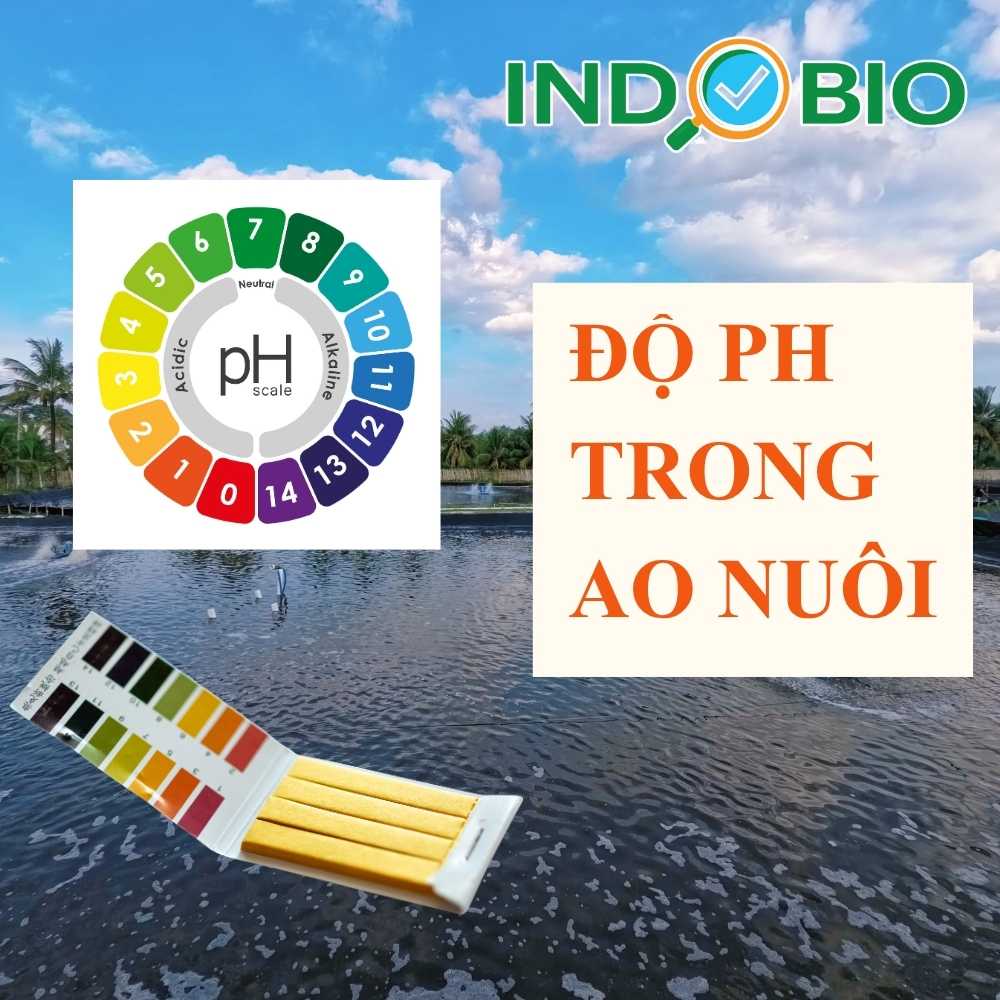 do-ph-la-gi-trong-ao-nuoi-thuy-san