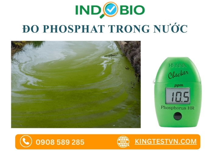Kiểm tra nhanh nồng độ phosphat trong nước