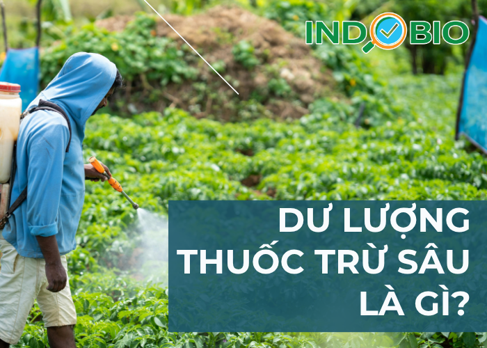 Dư lượng thuốc trừ sâu là gì?