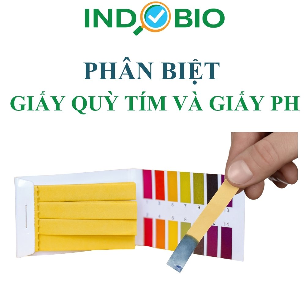 phan-biet-giay-quy-tim-va-giay-ph