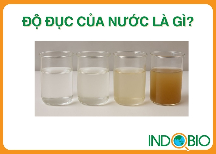 Độ đục của nước là gì?