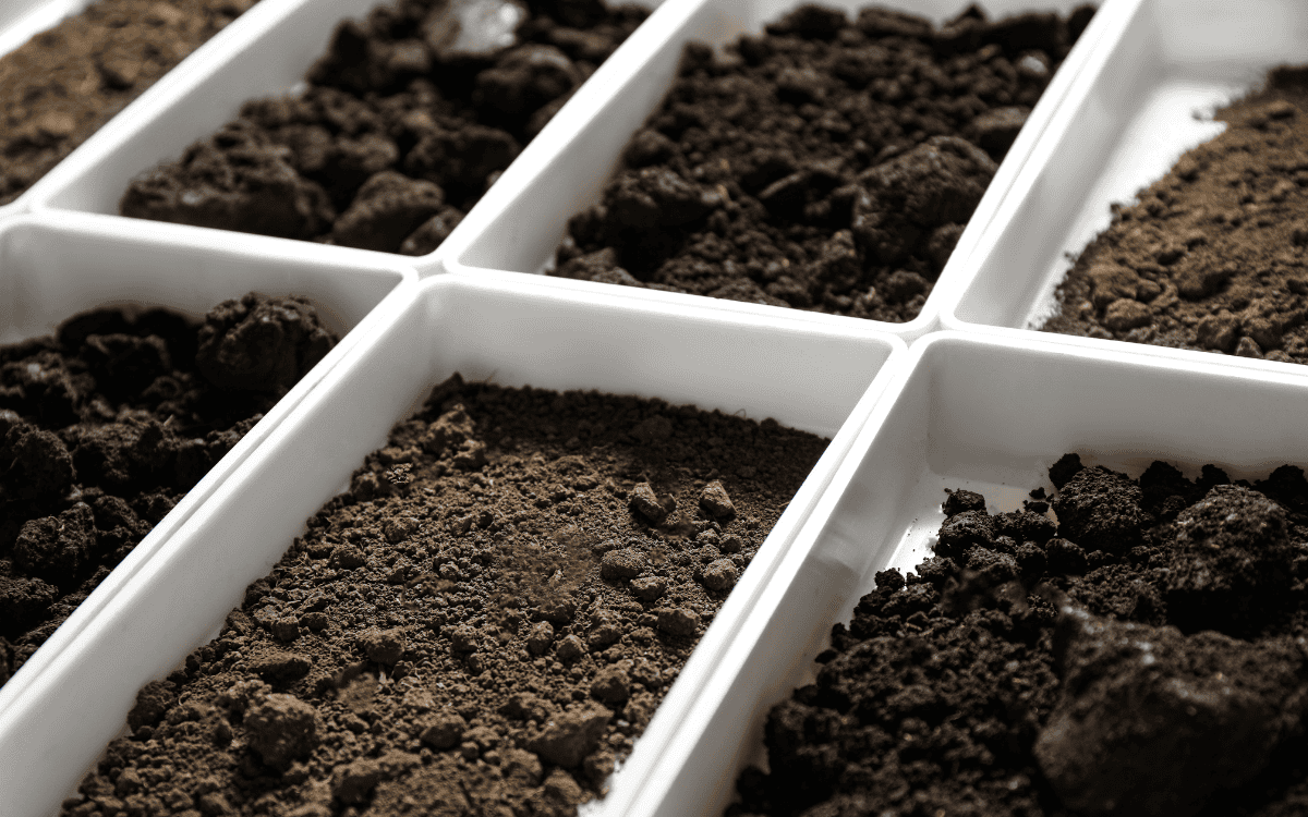 Nguyên tắc lấy mẫu đất