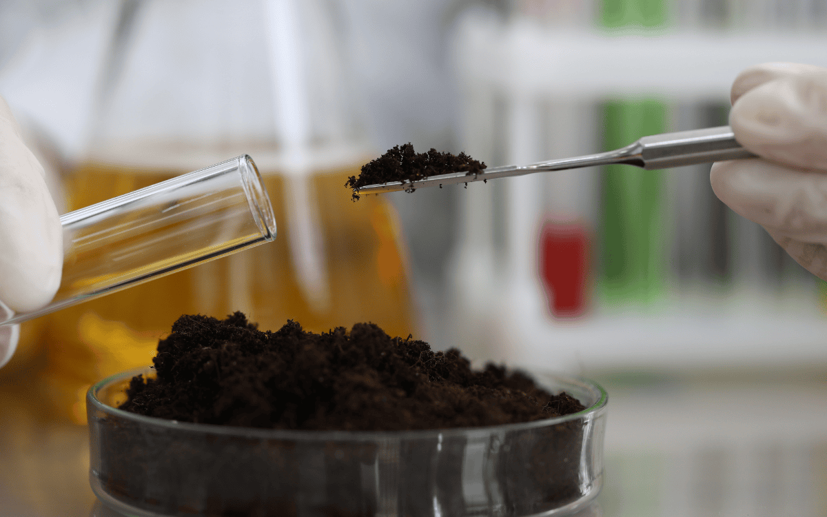 Kỹ thuật lấy mẫu