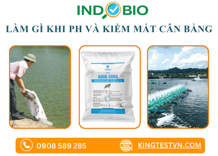 Xử lý khi mối quan hệ độ kiềm và pH mất cân bằng