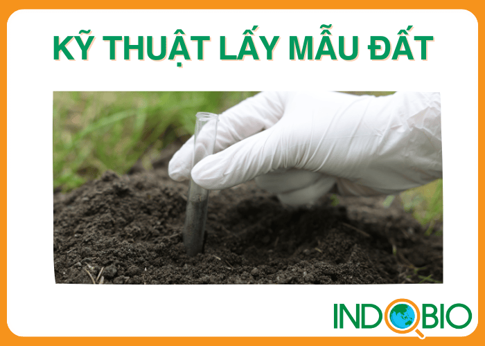 Kỹ thuật lấy mẫu đất