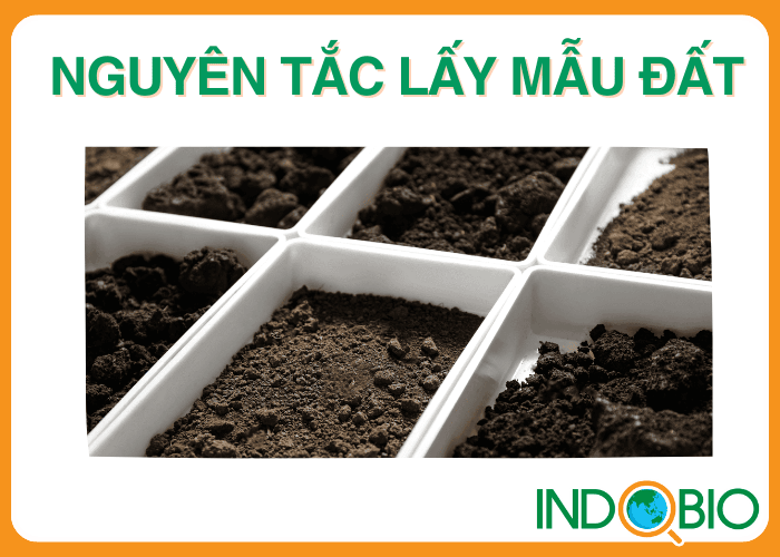 Nguyên tắc lấy mẫu đất