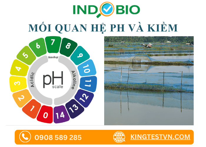Mối quan hệ giữa độ kiềm và pH