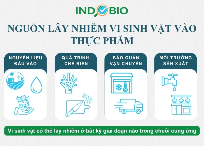 Nguồn lây nhiễm vi sinh vật vào thực phẩm
