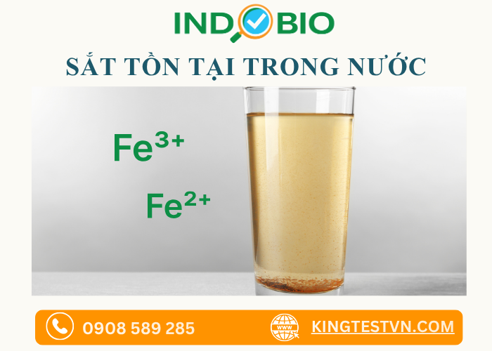 Sắt tồn tại trong nước như thế nào?