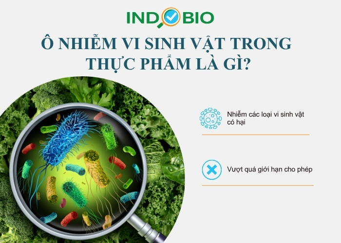 Ô nhiễm vi sinh vật trong thực phẩm là gì?