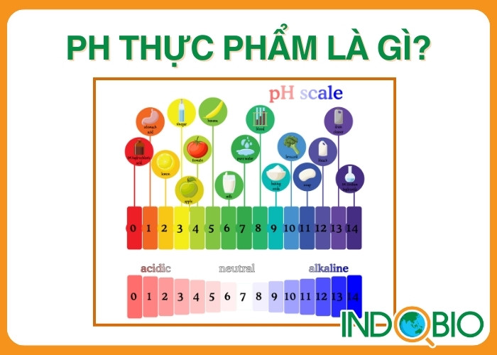 pH Thực Phẩm Là Gì? Vì Sao Cần Kiểm Soát?