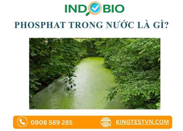 Phosphat trong Nước Là Gì?