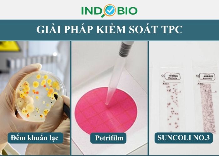 Kiểm tra tổng số vi sinh vật hiếu khí bằng cách nào?
