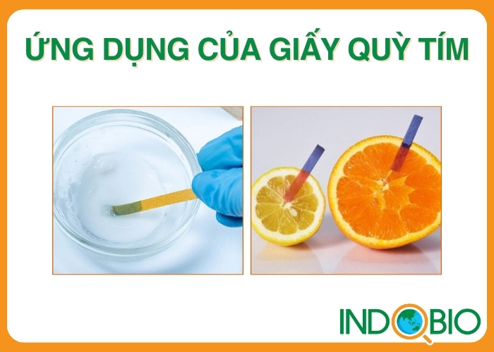 Giấy quỳ tím test nước dùng để làm gì?