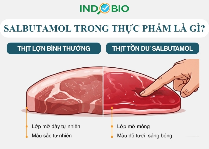 Salbutamol trong thực phẩm là gì?