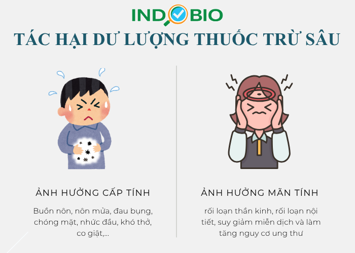 Tác hại của dư lượng thuốc trừ sâu đối với sức khỏe
