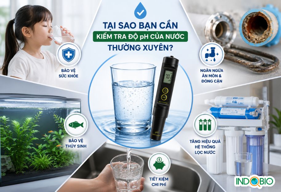 tao-sao-can-kiem-tra-do-ph-cua-nuoc