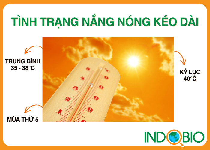 Tình hình nắng nóng hiện nay 