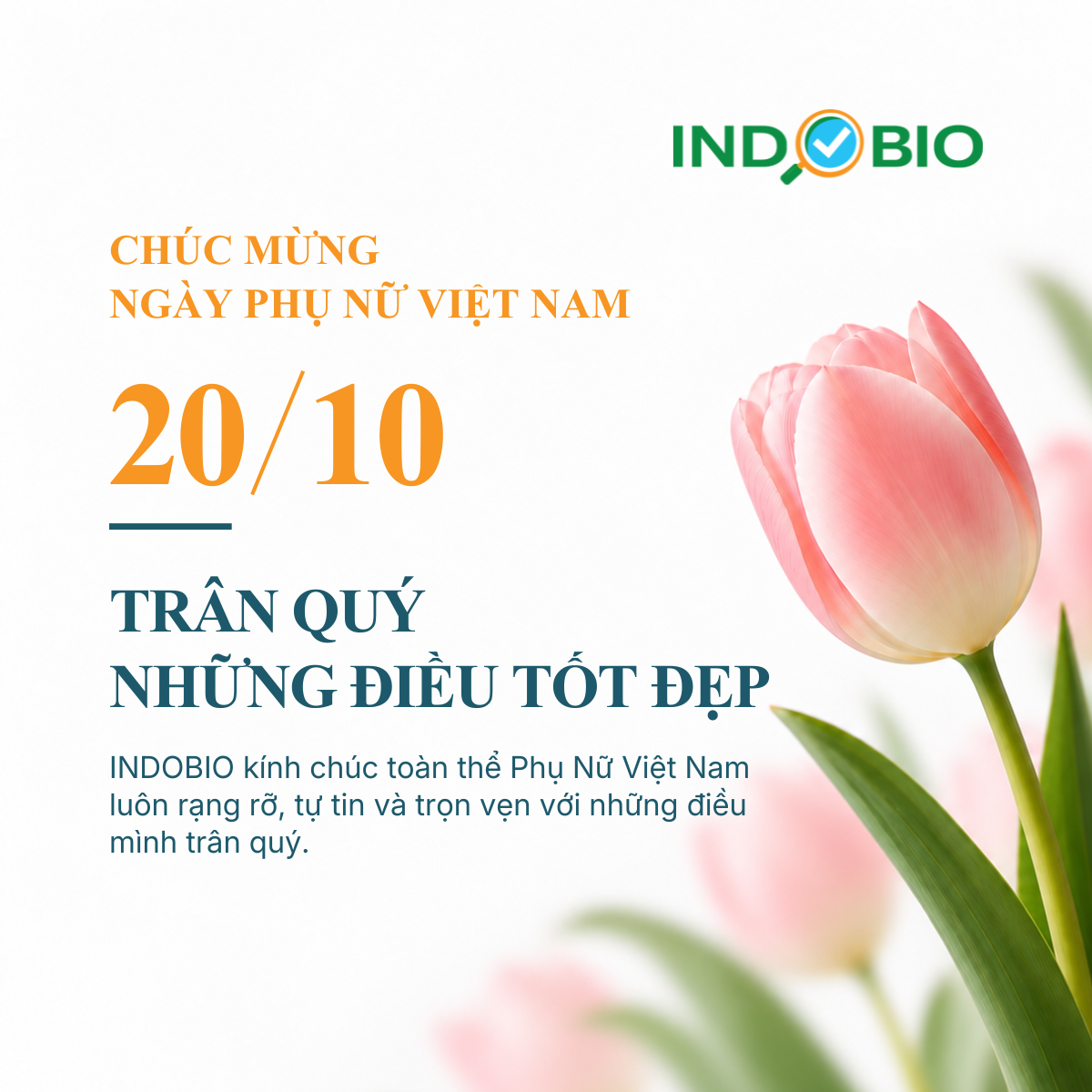 INDOBIO | SIMPLE . FAST . SOLUTION