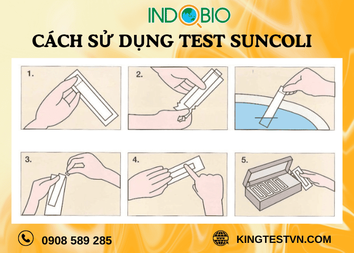 Cách sử dụng bộ test nấm men- nấm mốc Suncoli No.7