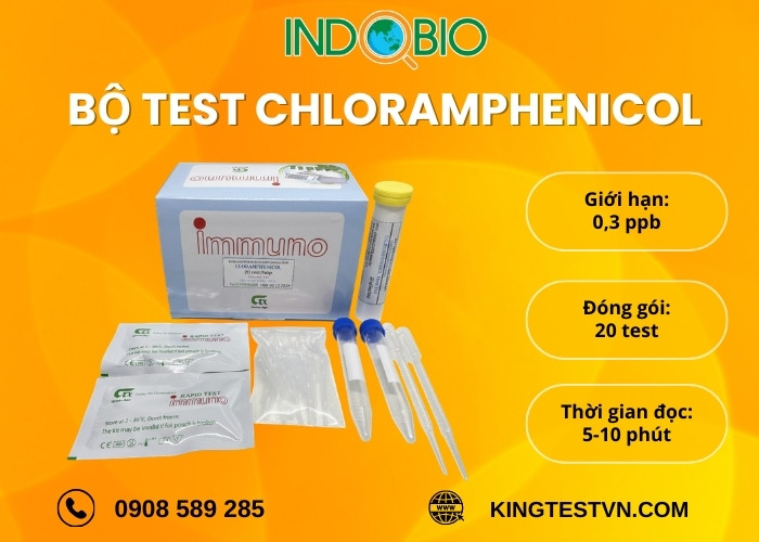 Chi tiết Bộ test Chloramphenicol