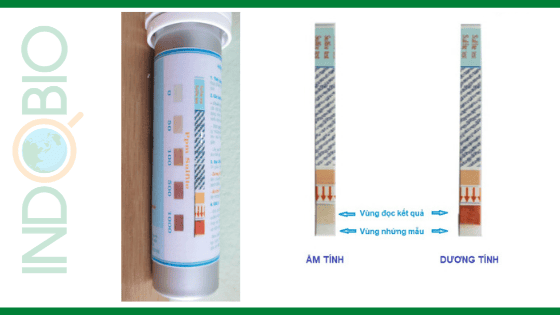 Đọc kết quả SOT08