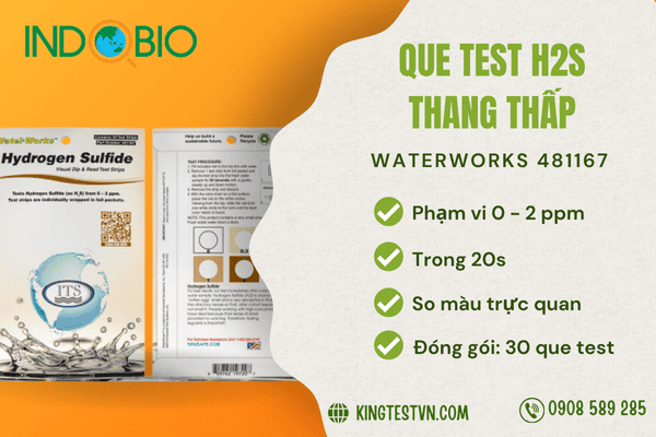 Que test H2S 481167 WaterWorks