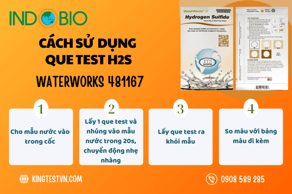 Que test H2S 481167 WaterWorks