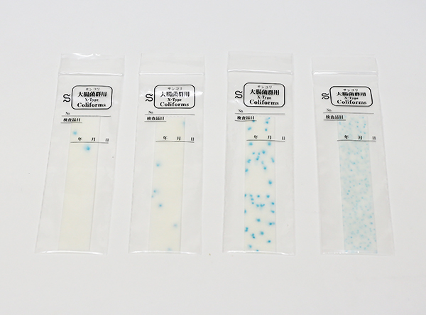 E.coli và Coliform tạo thành các khuẩn lạc màu xanh lam