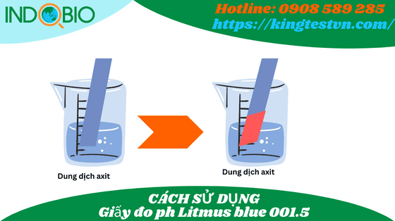 cách sử dụng giấy quỳ tím litmus blu 001.5 johnson