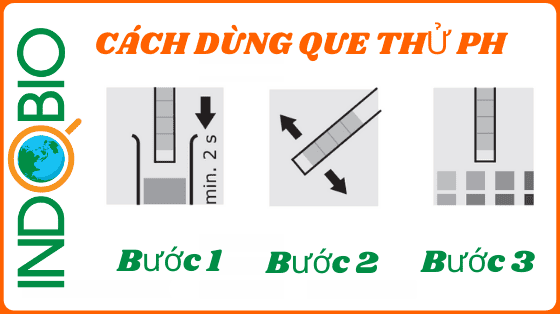 cách đo pH 4.0-10.0 với que thử ph 106.3c