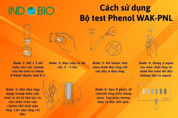 Packtest phenol WAK-PNL